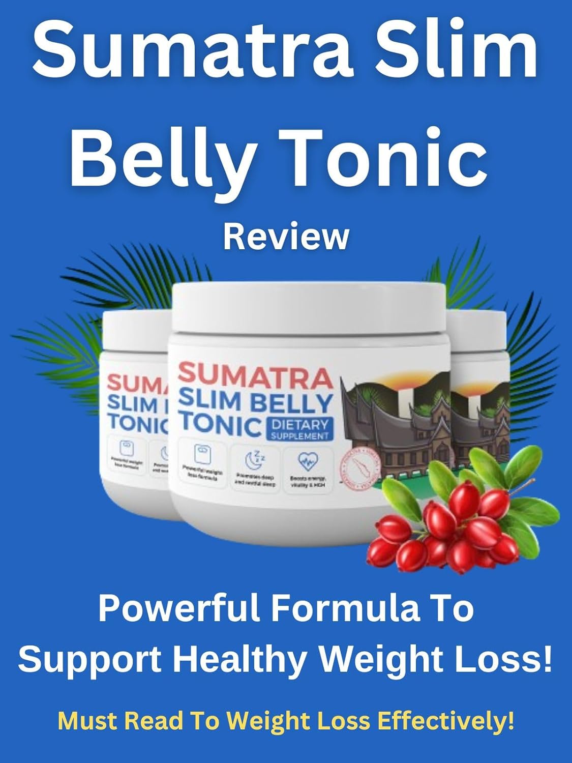 Amino Acids: Building Blocks of Muscle